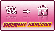 virement-bancaire